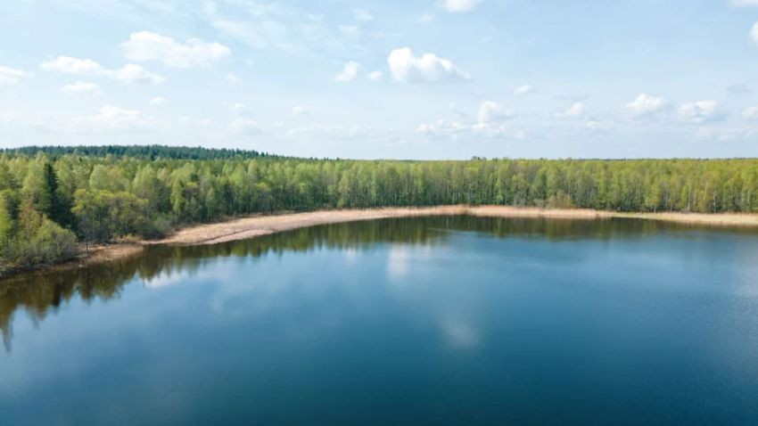 Галерея
